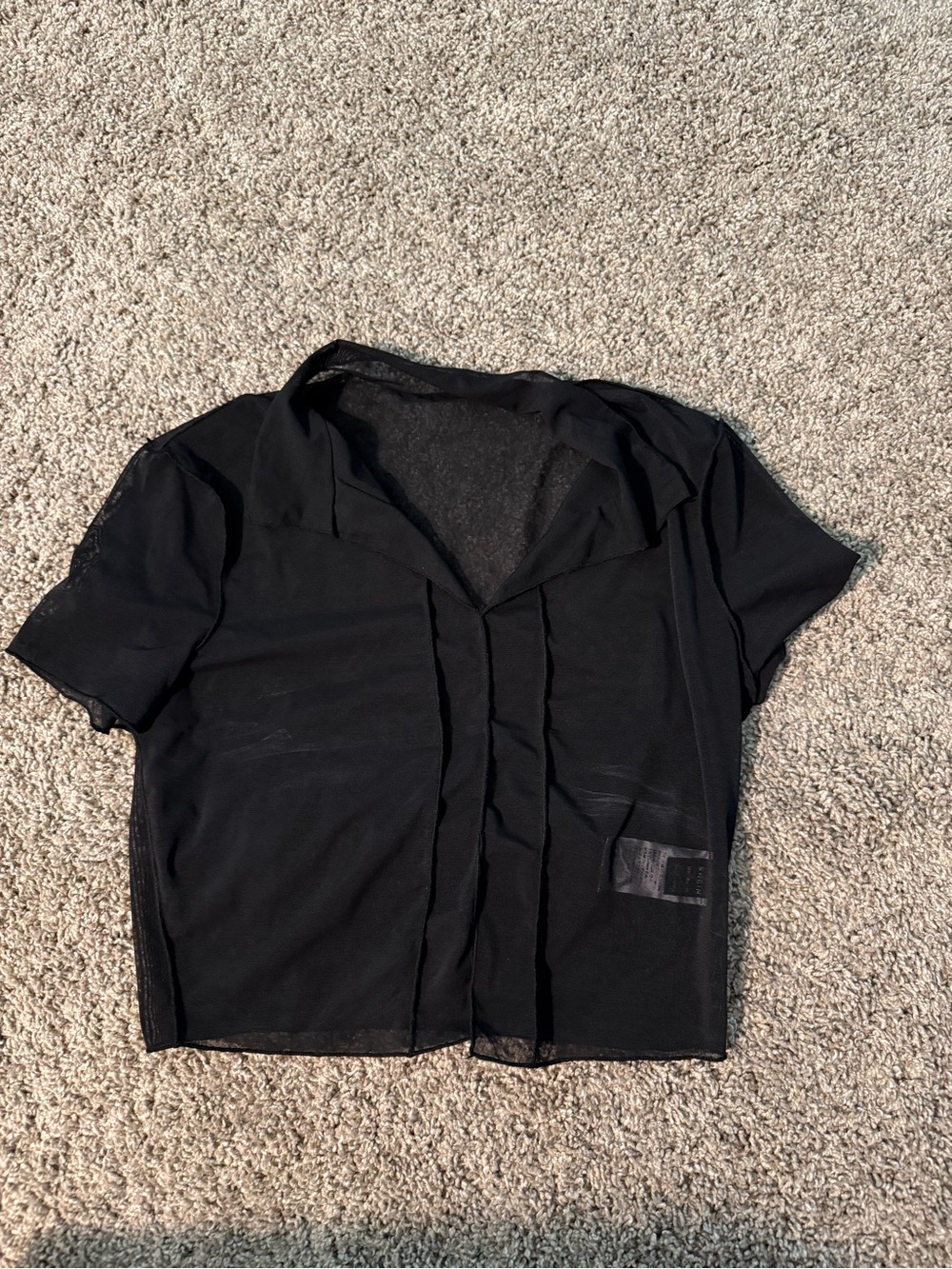 Sheer Black Short Sleeve Top